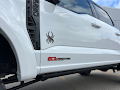 2025 Ford F-250SD Black Widow