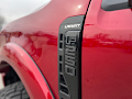 2025 Ford F-250SD Black Widow
