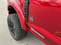 2025 Ford F-250SD Black Widow
