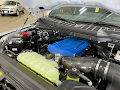 2025 Ford F-150 Shelby Super Snake