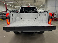 2025 Ford F-350SD Platinum