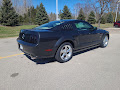 2008 Ford Mustang GT Premium