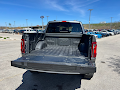 2025 Ford F-150 Black Widow