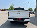 2025 Ford F-150 Roush