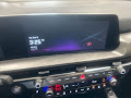 2025 Kia Telluride SX-Prestige X-Pro