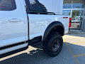 2023 Ford F-250SD Shelby