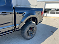 2025 Ford F-150 Black Widow