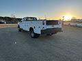 2025 Ford F-350SD XL