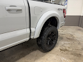 2026 Ford F-150 Black Widow