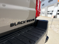 2026 Ford F-250SD Black Widow