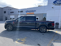 2026 Ford F-150 Black Widow