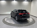 2023 Audi Q8 55 Premium Plus