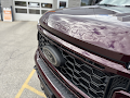 2026 Ford F-250SD Black Widow