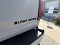 2026 Ford F-150 Black Widow