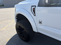 2026 Ford F-150 Black Widow