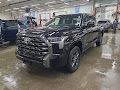 2022 Toyota Tundra Platinum