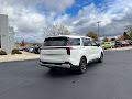 2025 Kia Carnival Hybrid EX