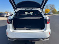 2017 Lexus RX 450h F Sport